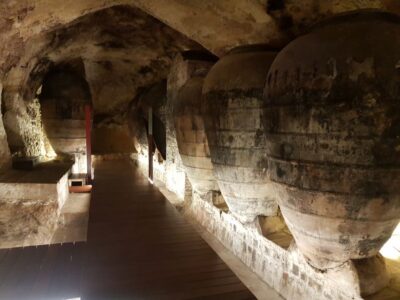 From Valencia: Utiel-Requena Wine Tour and Traditional Lunch - Getting started in Valencia: Mango Outlet and an 8-hour flow
