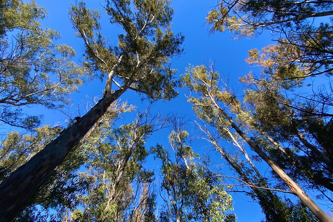 Full-day Hiking at Ruta the Aqua across Pena Cortada - Small group of eight: why this setup actually helps