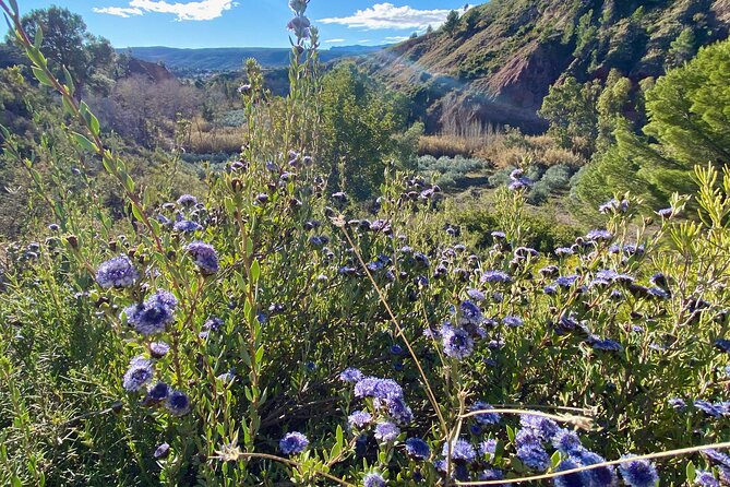 Full-day Hiking at Ruta the Aqua across Pena Cortada - The guide touch: thoughtful adjustments and extra time in the canyons