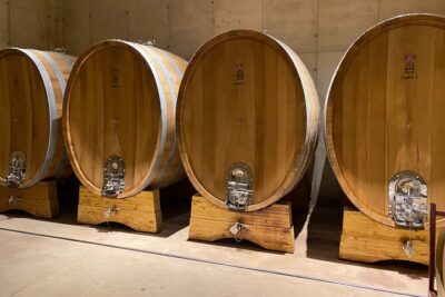 Full Day Private Requena Wineries Premium Tastings - Pickup, Timing, and How the Day Actually Moves