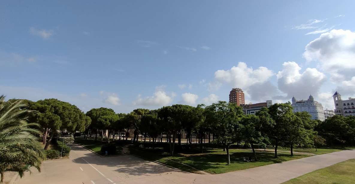 Grand City Bike Tour of Valencia - Who this tour suits best (and who should reconsider)