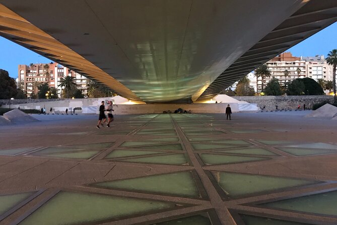 Grand City | Small Group Bike Tour through Top Highlights - Jardín del Turia: why the green pause is the best part of Valencia’s middle stretch