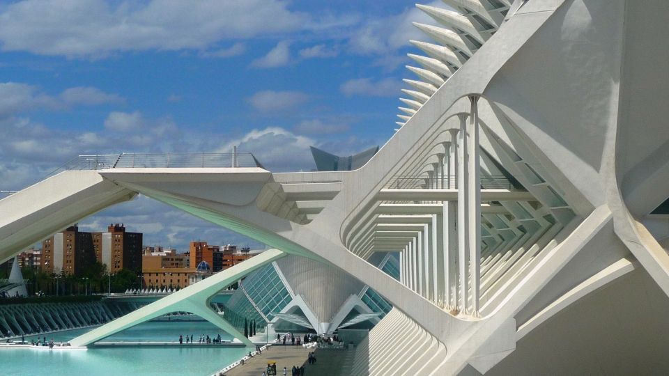 Highlights of Valencia: Private Half-Day Tour - The City of Art and Science: architecture first, then views