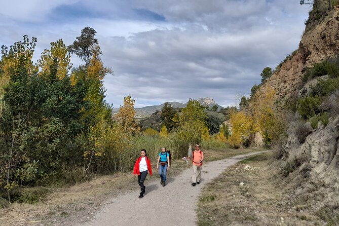 Hike to the Roman aqueduct Peña Cortada - Duration, group size, and how to pace yourself