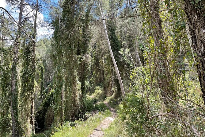 Hiking in Montanejos and swim in Thermal Springs - OFFICIAL GUIDE - Transportation and Timing That Actually Works