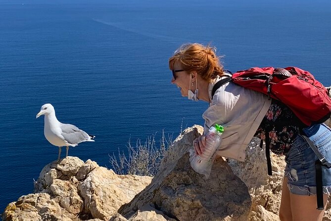 Hiking Peñon de Ifach in Calpe and visit Altea - OFFICIAL GUIDE - Why this guided Peñon de Ifach hike feels like the smart way to do it