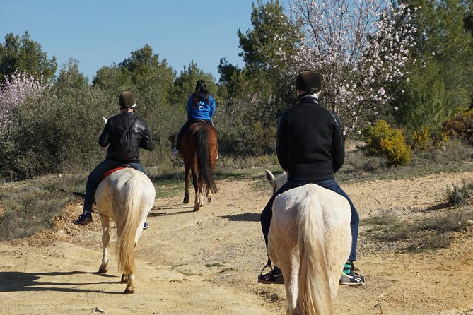 Horseback riding and wine tour (private tour) - The Route to the Vineyards: A Wine Region Just Outside the City