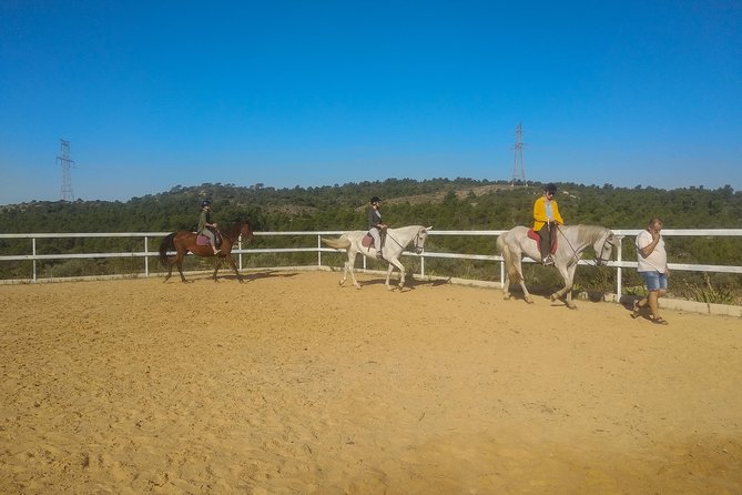 Horseback riding and wine tour (private tour) - Wine Tasting After the Ride: Three Wines You Choose (Plus Aperitif)
