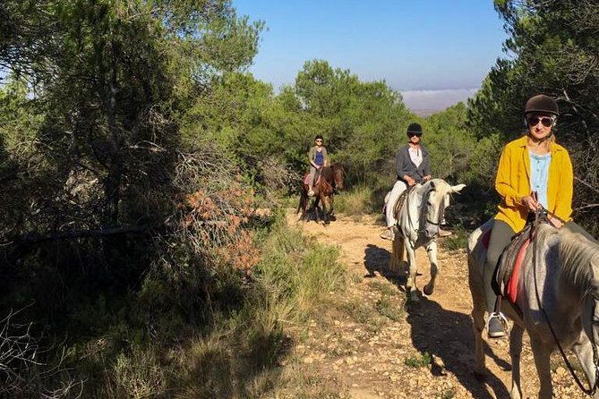 Horseback riding and wine tour (private tour) - Price and Value: What $180.62 Buys You (and Why It’s Reasonable)
