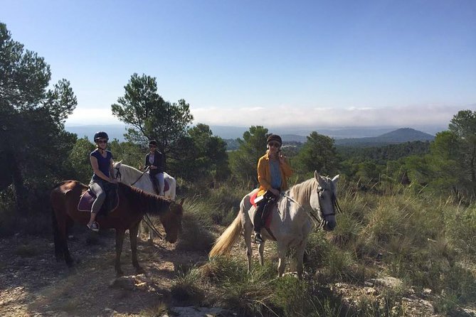 Horseback riding and wine tour (private tour) - Getting There: Valencia Pickup and Why the Meeting Point Matters