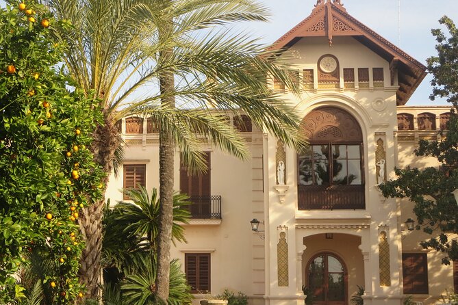 Live an Experience Among Orange Trees in Huerto Ribera - Key highlights before you go