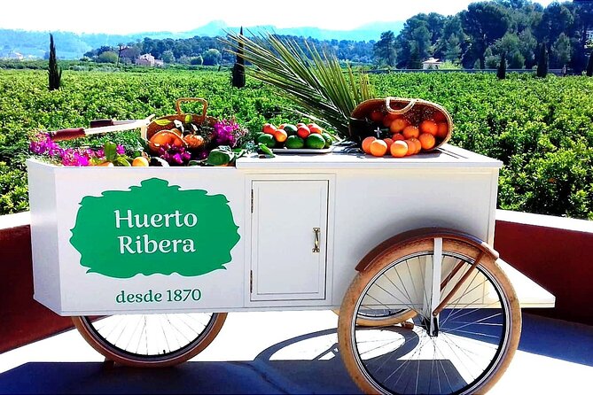 Live an Experience Among Orange Trees in Huerto Ribera - Huerto Ribera in Carcaixent: a working orange farm walk