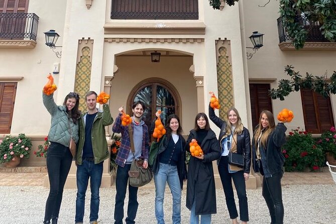 Live an Experience Among Orange Trees in Huerto Ribera - Inside the warehouse: calibrating, selecting, and packing oranges