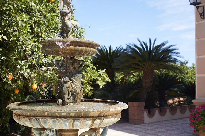 Live an Experience Among Orange Trees in Huerto Ribera - Timing and logistics: late-afternoon slots near Valencia