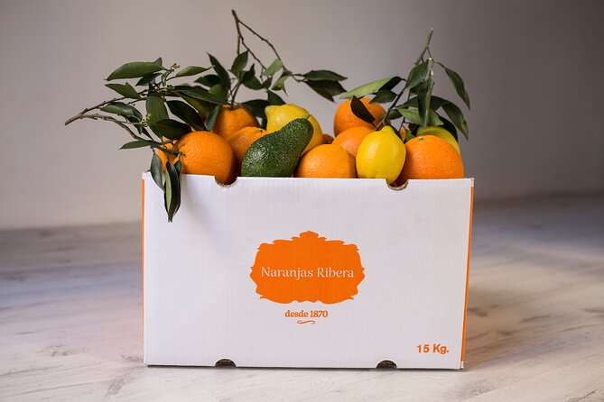 Live an Experience Among Orange Trees in Huerto Ribera - Who should book Huerto Ribera (and who may want to skip it)