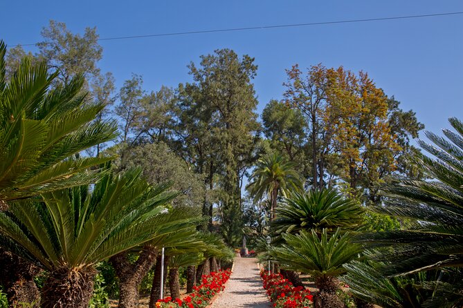 Live an Experience Among Orange Trees in Huerto Ribera - Quick practical checklist (so your afternoon goes smoothly)