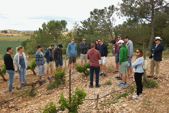 Private Wineries Tour from Valencia (morning tour) - Price and what $156.62 buys you