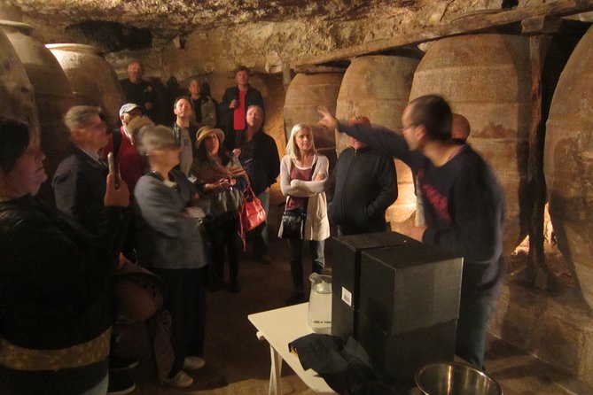 Private Wineries Tour from Valencia (morning tour) - The tastings: what you should actually pay attention to