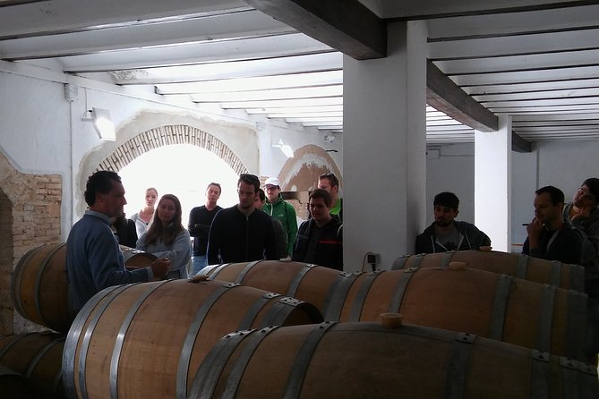 Private Wineries Tour from Valencia (morning tour) - Getting there: 9:30am start and Valencia pickup