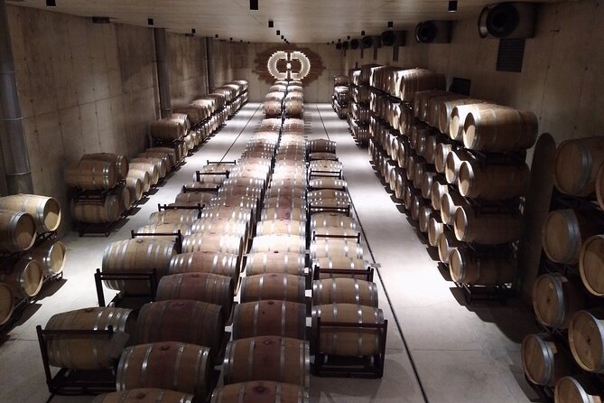 Requena Somm. Private Vineyards/ Premium Wine tasting 1/2 Day - Chozas Carrascal: organic DO Pago with Toni Martin and a proper wine lesson