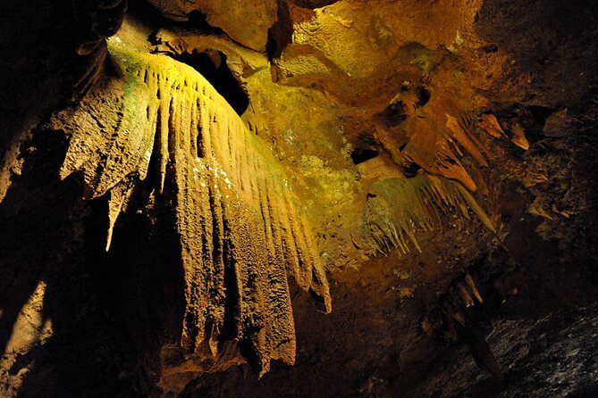 San Jose Caves tour from Valencia - Price and Value: Is $78.27 a Good Deal?