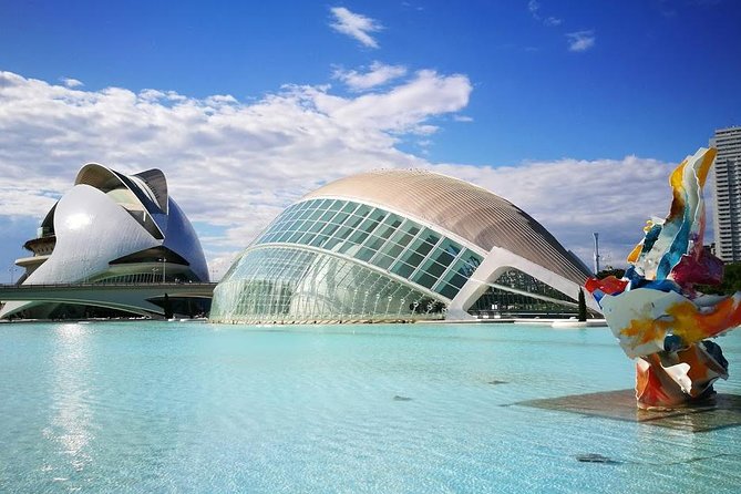Shore Excursion: Valencia Half-Day Private Tour - City of Arts and Sciences: Calatrava and Felix Candela at daylight speed