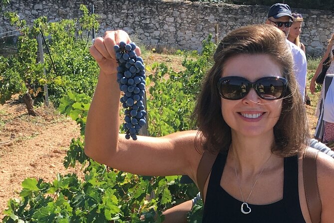 Singular Valencia Wine Tour Utiel Requena Wineries - Getting there smoothly: meeting point, timing, and group size