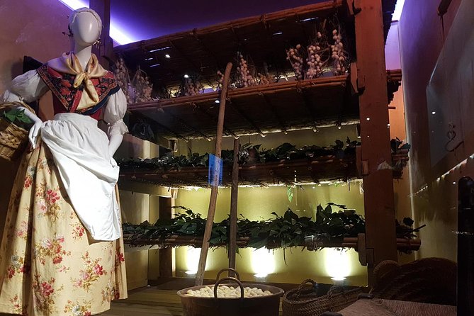 Skip the Line: Valencia Silk Museum Ticket Entrance - Two hours is the right length for a silk-focused stop