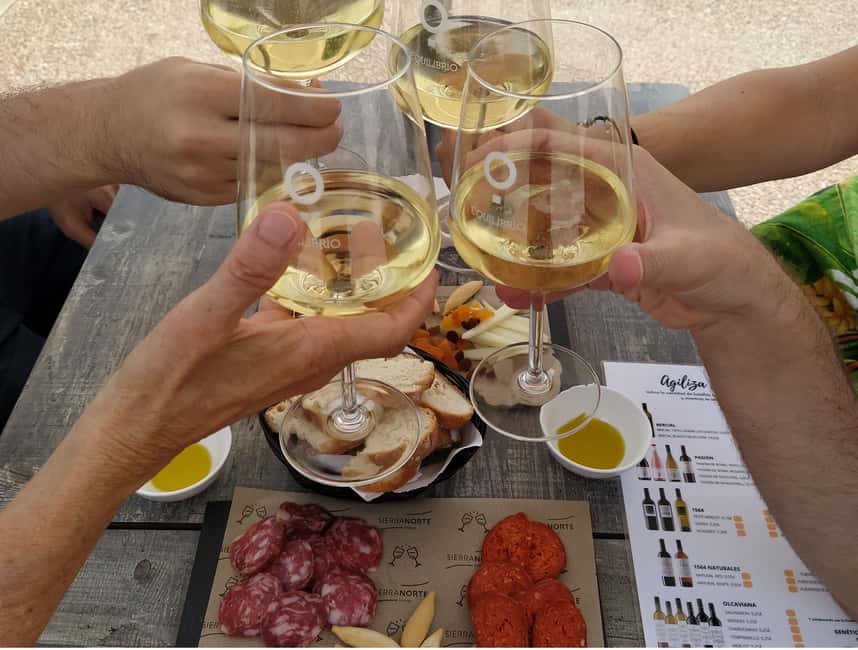 Small-Group Wine Tour from Valencia with Tastings Max 7 - Key highlights to look for on this Requena wine tour