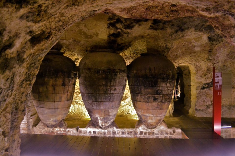 Small-Group Wine Tour from Valencia with Tastings Max 7 - Pacing and comfort: making 5.5 hours feel like a full experience