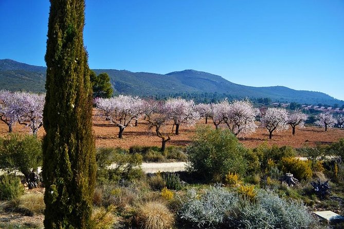 Small-Group Wine Tour with Local Expert (7 max) - The small-group ride: pickup, air-conditioning, and less chaos