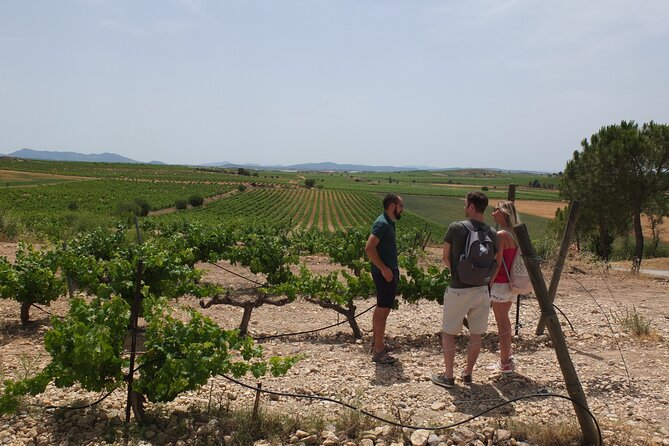 Tapas in the vineyards - What to bring (and what to plan) for a smooth wine-and-tapas day