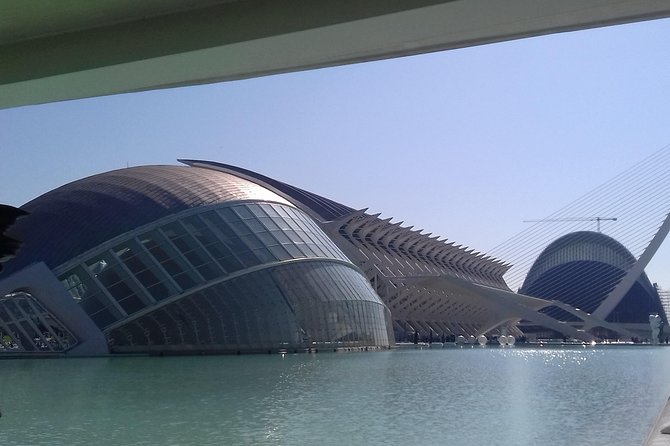The City of Arts and Sciences in Valencia - Enrique’s guiding touch: how architecture lessons become usable