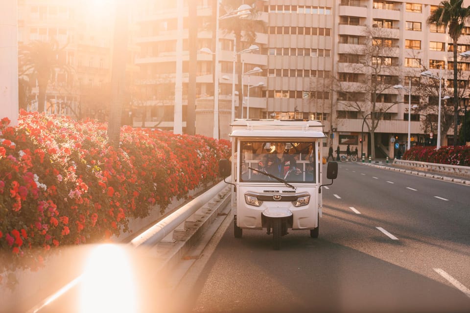 Valencia 1 hour by TukTuki: Essential and Private Tour - A one-hour private tuk-tuk circuit that fits real schedules
