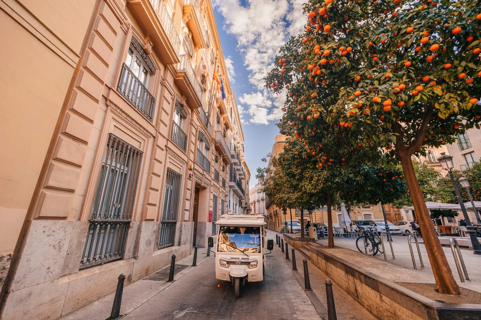 Valencia 1 hour by TukTuki: Essential and Private Tour - Guide language and photo help: where the experience actually pays off
