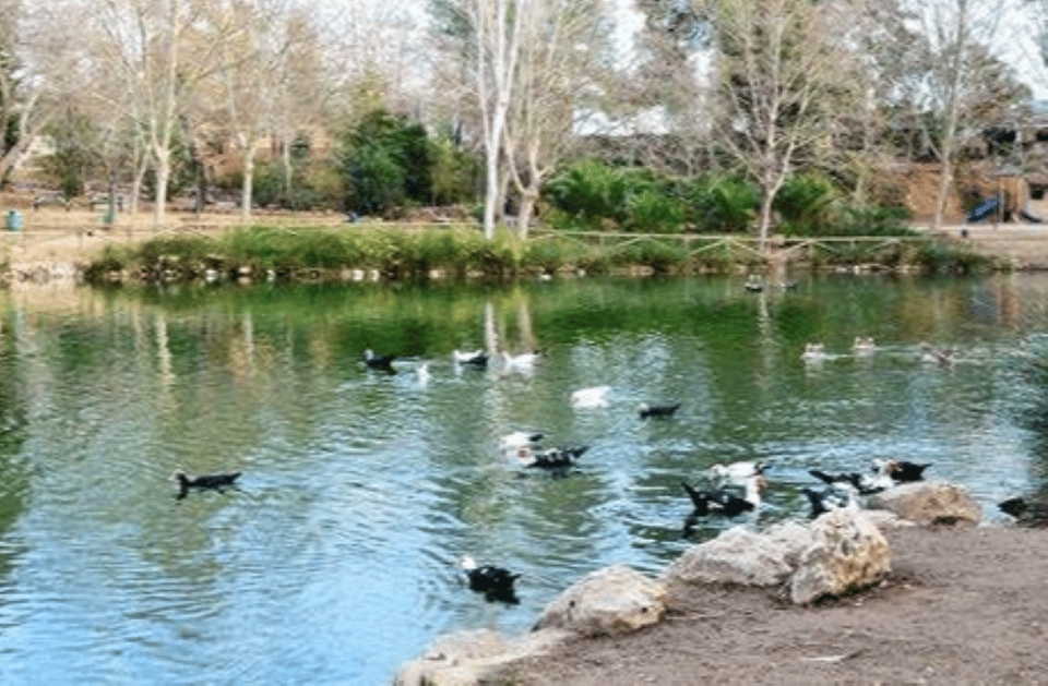 Valencia: Anna Alhambra and 3 Waterfalls Guided Tour - How this day trip really feels from Valencia