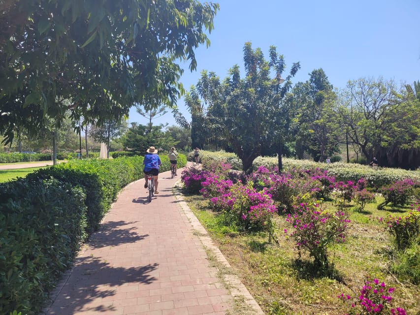 Valencia, Biketour of all the city with a local guide - Key things I’d pin to the top
