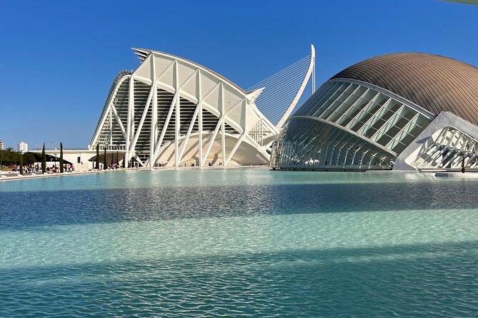 Valencia: City of Arts and Sciences Private Walking Tour - Oceanogràfic: the largest aquarium in Europe, seen in sea-inspired form