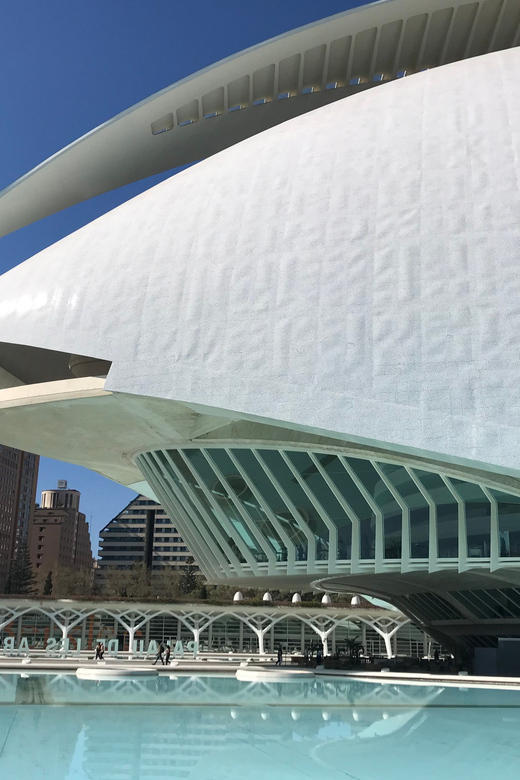 Valencia: Grand City Bike Tour on Bicycle, E-Bike or E-Step - Key Points That Matter Before You Book