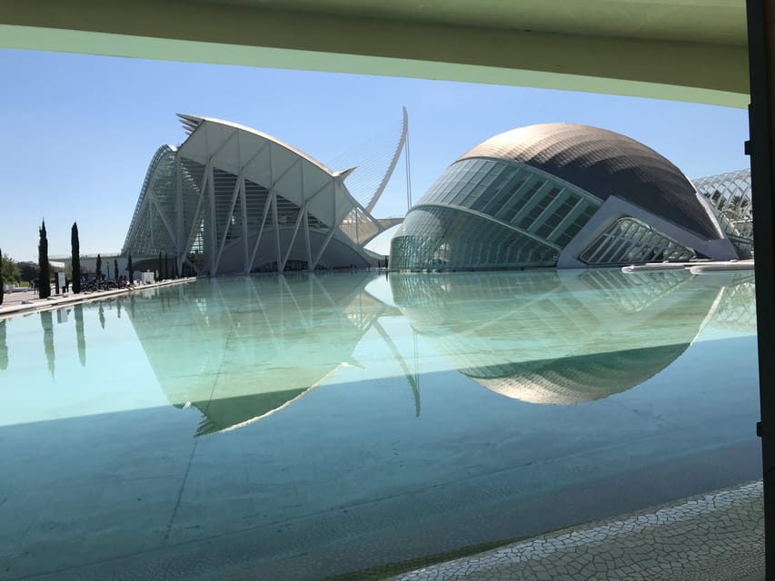 Valencia: Grand City Bike Tour on Bicycle, E-Bike or E-Step - City of Arts and Sciences: Futuristic Curves, Reflecting Pools, Photo Timing