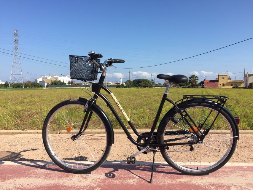 Valencia: Horchata Bike Tour - Alboraya and the Canal Run: Flora, Birds, and a Real Working Waterway
