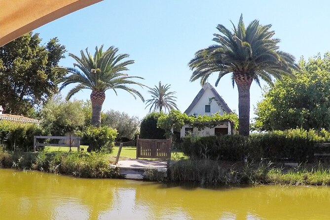 Valencia: Jeep Tour Albufera Park - The Open Jeep Ride: Not Off-Road, Still Fun