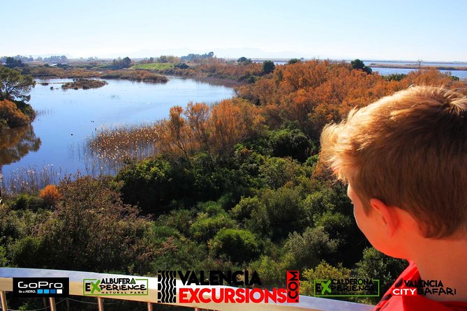 Valencia: Jeep Tour Albufera Park - Parque Natural de la Albufera: Beaches, a Nature Center, and El Palmar