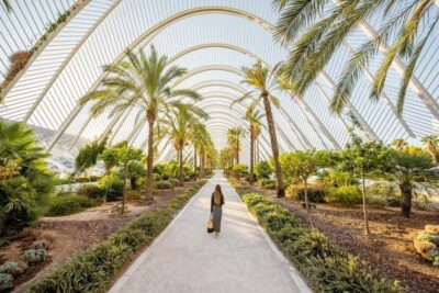 Valencia: Must-See Attractions Walking Tour - Central Market of Valencia: orientation before you go monument-hunting