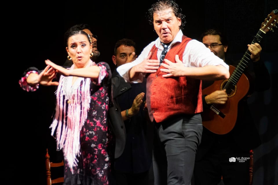 Valencia: New Flamenco Show in the Most Emblematic Theater of the City - What you’ll see: dance, cante, guitar, and percussion in one flow