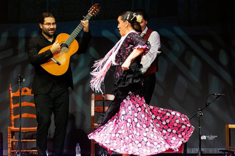 Valencia: New Flamenco Show in the Most Emblematic Theater of the City - Price and value: is $23 worth it?