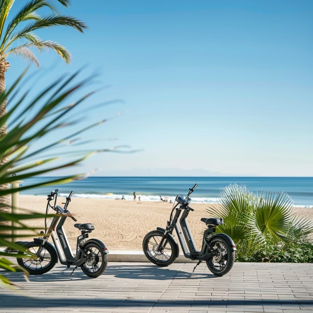 Valencia: Normal bike and Electric bike Rental Ruzafa - Should You Book This Valencia Bike Rental?