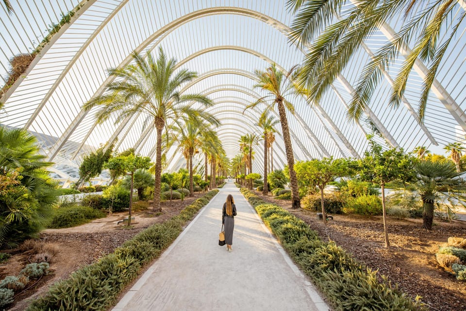 Valencia: Private Brunch Tour with Basic Spanish Learning - Price and value: $65 for a guided center walk plus tastings