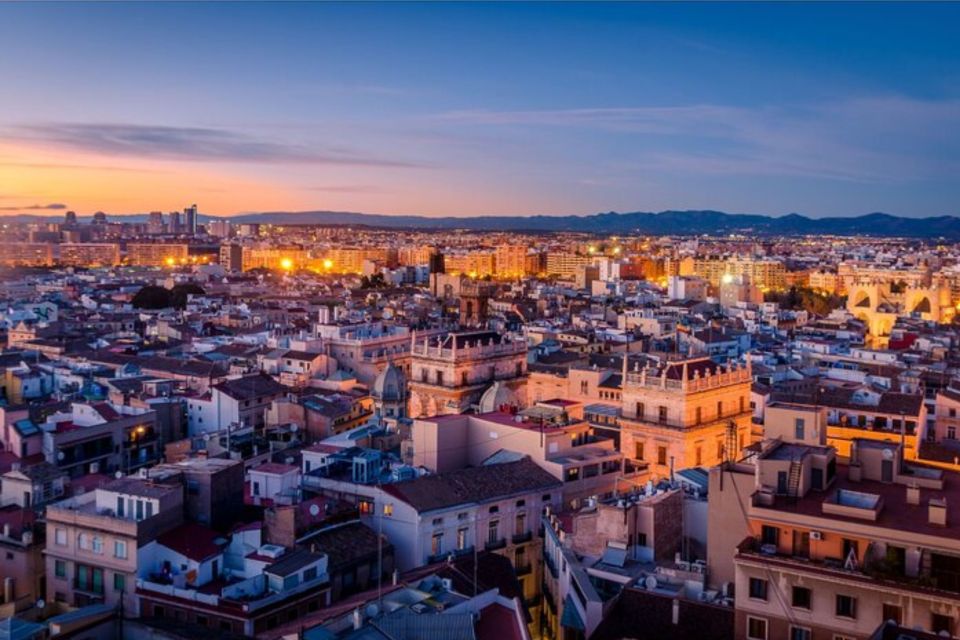 Valencia: Private custom tour with a local guide - Key points at a glance