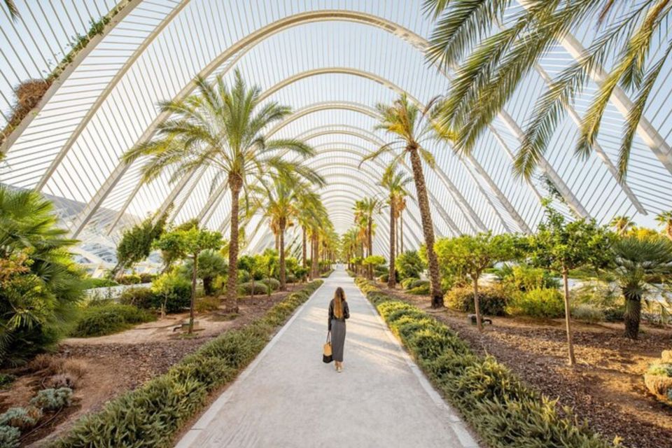 Valencia: Private custom tour with a local guide - Food Advice and Stops That Feel Local, Not Random